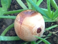 instructables Corinbw Carved Wood Sphere